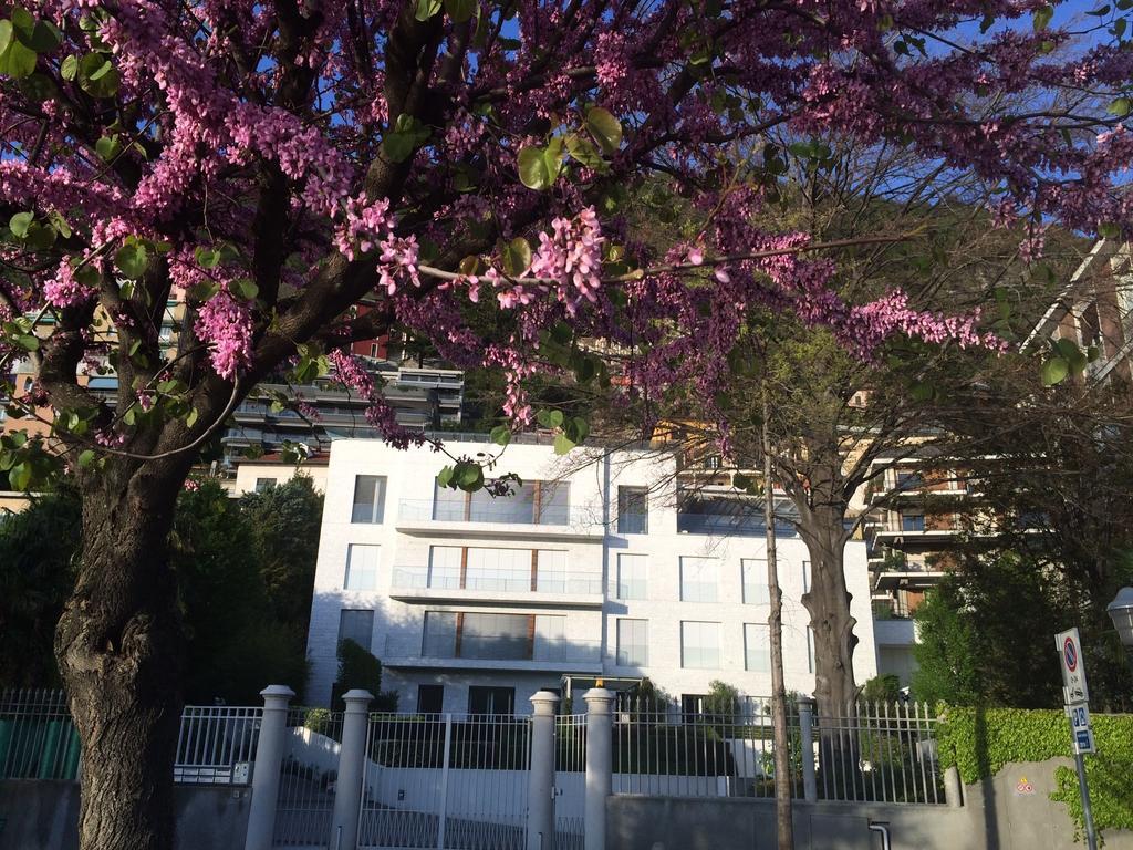 Villa Bianca Como Værelse billede